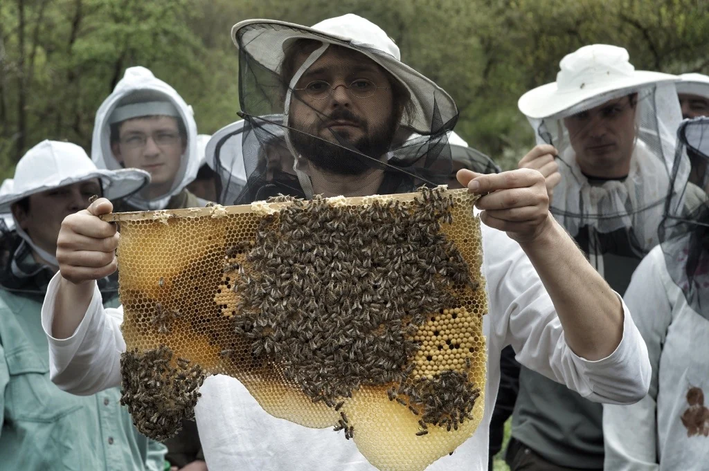 Lektor při vysvětlování stavby včelího plástu účastníkům kurzu