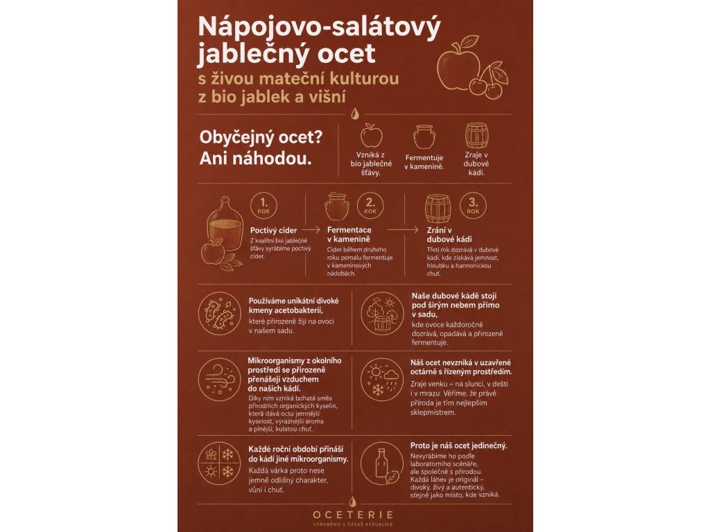 jablečný ocet infografika
