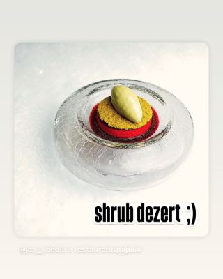 když nejlepší #shrub doputuje do šikovných rukou mistra sochaře @jan_knedla